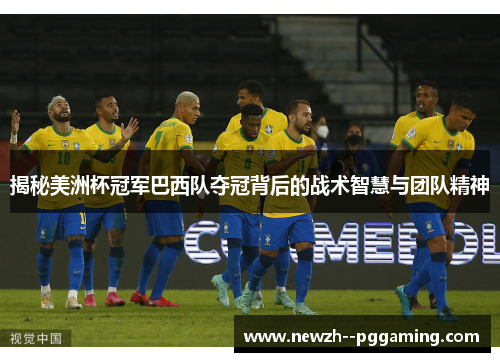揭秘美洲杯冠军巴西队夺冠背后的战术智慧与团队精神